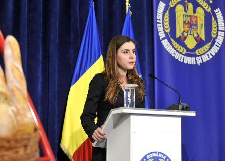 Ioana Petrescu cheamă investitorii în România. &quot;Impozitul pe construcţii speciale va fi redus, taxa pe construcţii diminuată&quot;