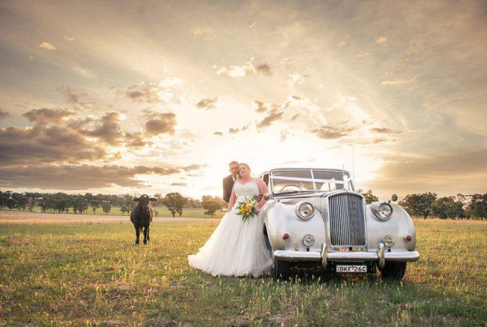 Ce au păţit aceşti miri când au vrut să îşi facă albumul de nuntă: "L-am văzut că vine furios spre noi. Am îngheţat" 277474