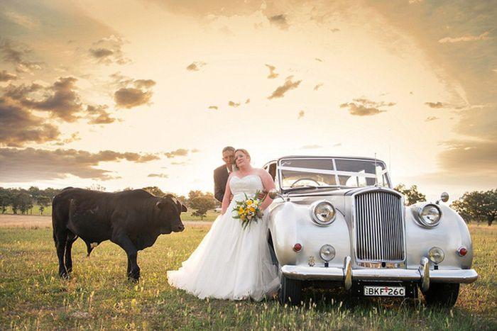 Ce au păţit aceşti miri când au vrut să îşi facă albumul de nuntă: "L-am văzut că vine furios spre noi. Am îngheţat" 277476