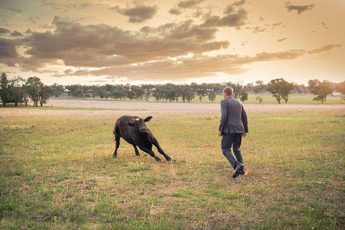 Ce au păţit aceşti miri când au vrut să îşi facă albumul de nuntă: "L-am văzut că vine furios spre noi. Am îngheţat" 277480