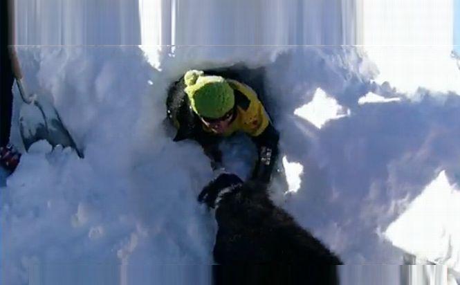 Singurul câine din România specializat în salvarea victimelor din avalanşă