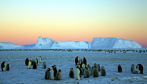 Ce au găsit SUB gheaţa din Antarctica. &quot;Acum este în cel mai puţin vizitat muzeu din lume&quot; 