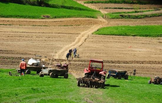 Cât costă PĂMÂNTUL României? Despăgubiri demne de Monte Carlo pentru terenuri agricole în Bistriţa