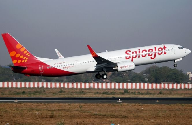 Un avion cu 146 de oameni la bord a lovit un bivol care intrase pe pista aeroportului
