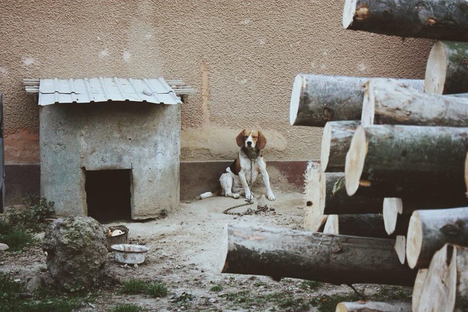 Când ÎNGERII trăiesc printre oameni. Povestea IMPRESIONANTĂ a familiei care are grijă de BĂTRÂNII NIMĂNUI 283016