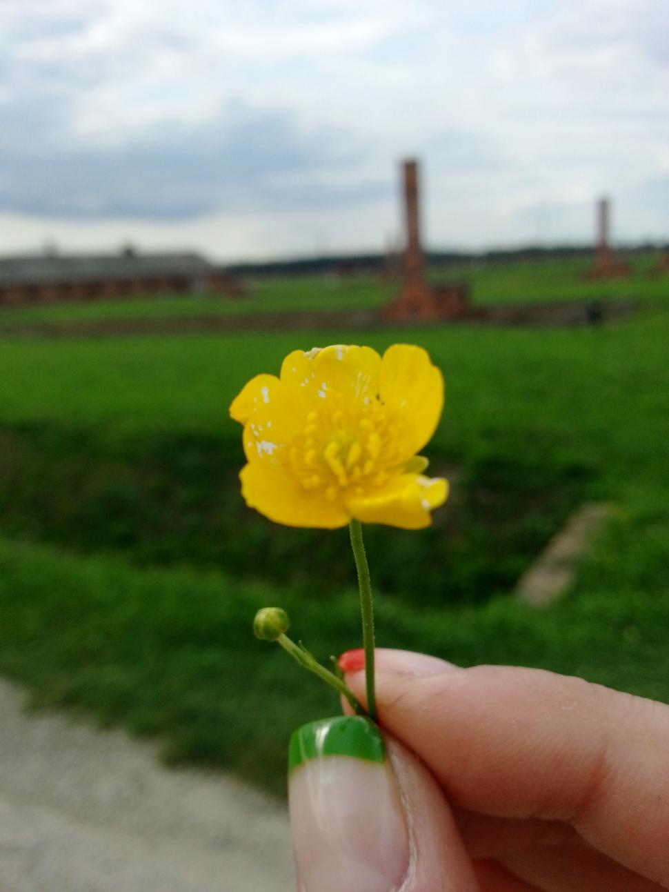 "Roxynel", prima femeie din România care a ajuns SINGURĂ, pe motocicletă, în cel mai nordic punct al Europei, Nordkapp 283436