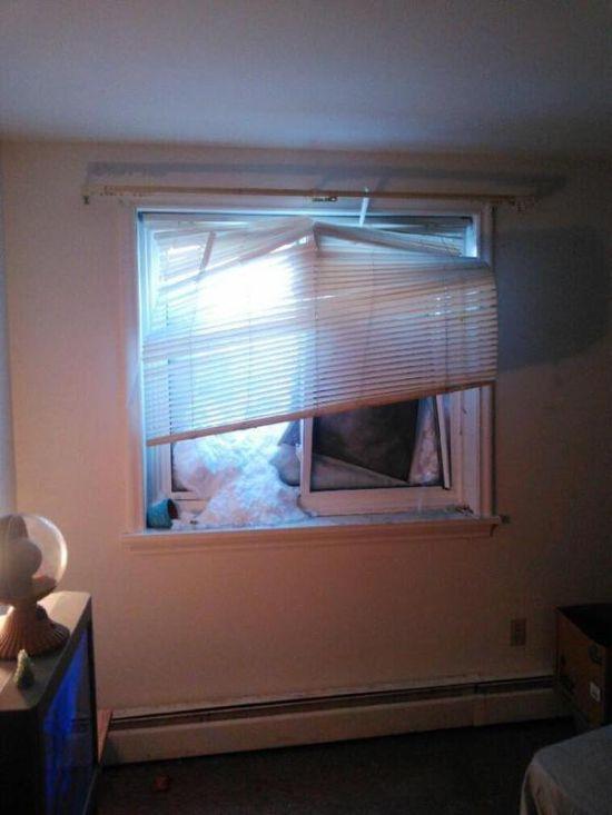 Ce li s-a întâmplat acestor americani în această dimineaţă, când au deschis FEREASTRA. "Niciodată nu am mai văzut aşa ceva" 284545