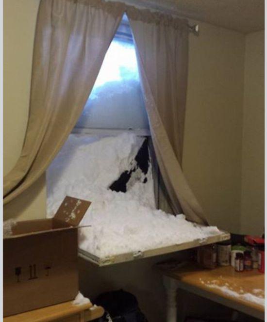 Ce li s-a întâmplat acestor americani în această dimineaţă, când au deschis FEREASTRA. "Niciodată nu am mai văzut aşa ceva" 284546