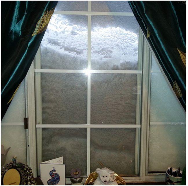 Ce li s-a întâmplat acestor americani în această dimineaţă, când au deschis FEREASTRA. "Niciodată nu am mai văzut aşa ceva" 284551