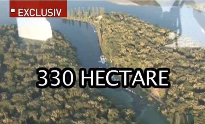 Milionarul lui Băsescu, 330 de hectare din pădurea statului