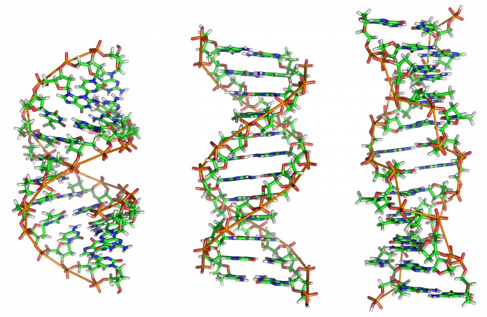 Informaţia genetică a ADN-ului poate supravieţui în spaţiul cosmic 