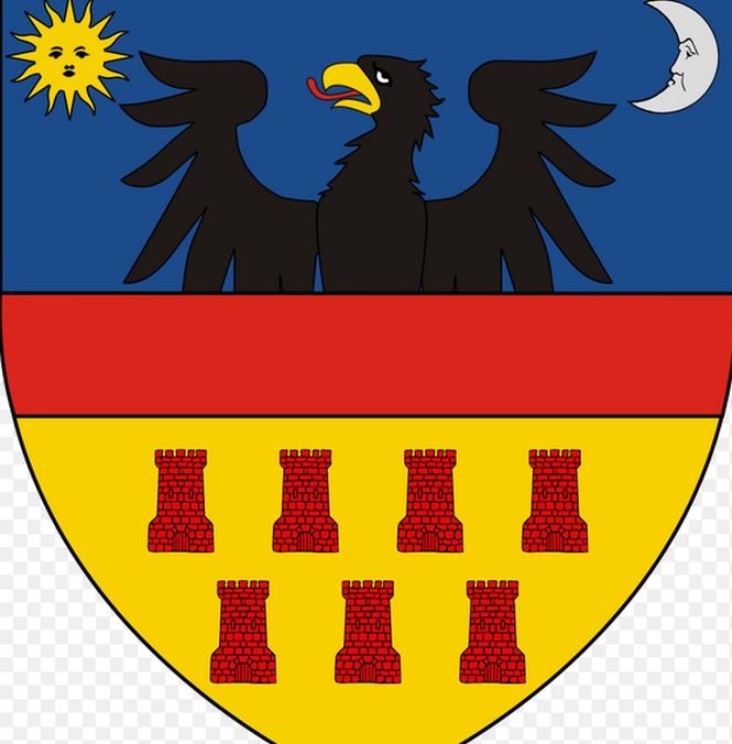 Pentru prima oară, românii au comandat steagul Transilvaniei, regiunea de unde provine Iohannis