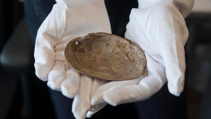 A fost descoperit cel mai vechi desen uman din lume. Uite de când datează şi ce reprezintă 286390