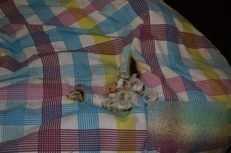 Ce i s-a întâmplat acestei tinere, DUPĂ ce a făcut această poză cu telefonul. "Se putea termina TRAGIC" 287288