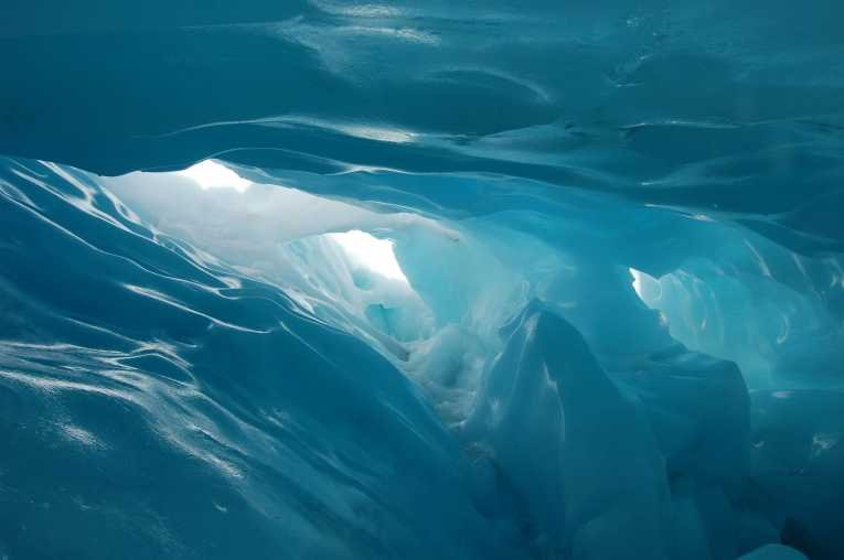 Descoperire fabuloasă în Antarctica. Ce se află SUB calota glaciară: &quot;Sunt vechi de 500 de MILIOANE de ani&quot;