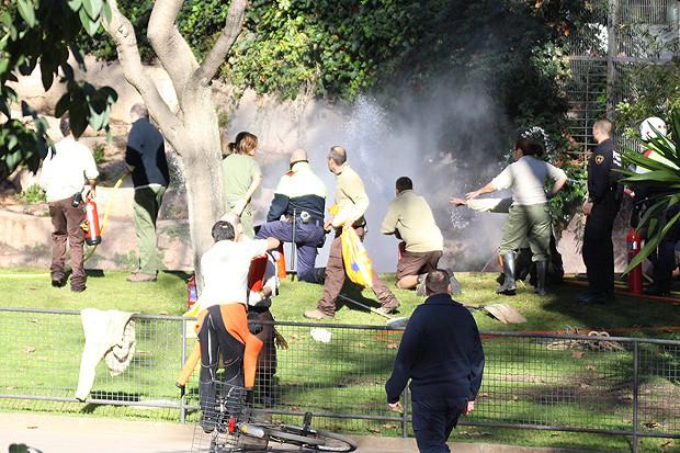 Momente de groază la grădina Zoo din Barcelona. Un bărbat s-a aruncat în cuşca LEILOR 287912