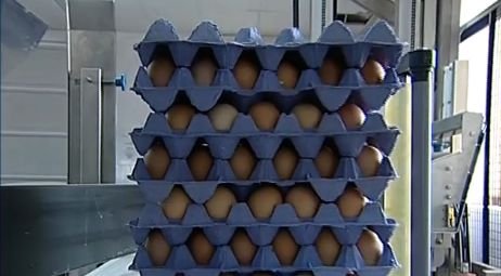 Zeci de mii de ouă stricate vândute în prag de Sărbători