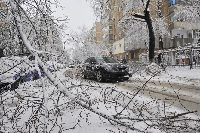 Aproape 30 de maşini avariate de copacii căzuţi în ultimele ore, în Bucureşti