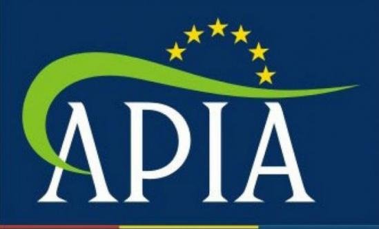 Fostul director adjunct al APIA, Aurel Pană, condamnat la şapte ani de închisoare pentru luare de mită şi trafic de influenţă