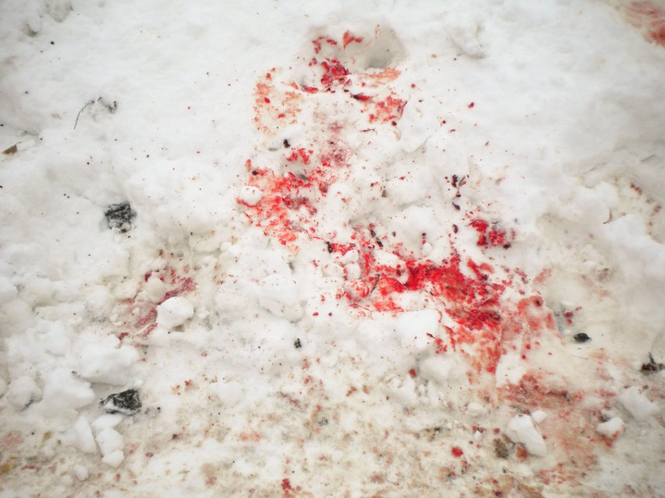 Hainele unui bărbat dispărut în seara de Revelion au fost găsite pline de sânge, în zăpadă. Principalul suspect, gazda bărbatului