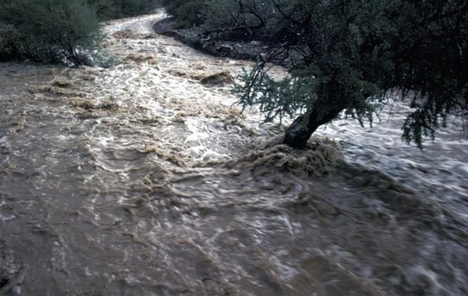 Cod galben de inundaţii, în nouă judeţe din ţară. Care sunt râurile şi zonele afectate