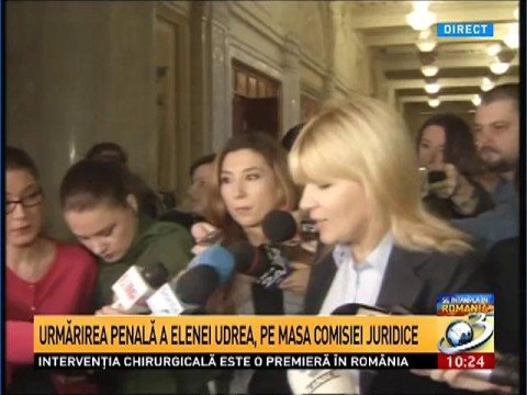 Lower House Legal Committee greenlights prosecution of Elena Udrea