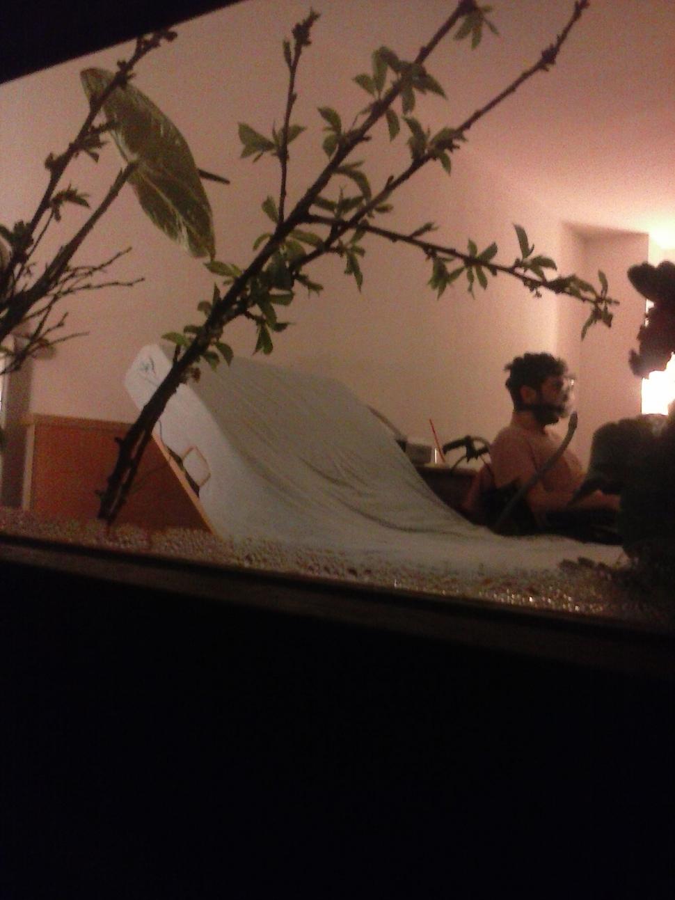 Ajutaţi-l pe artistul Bogdan Nicula! Oamenii fac minuni şi pot salva vieţi 294624