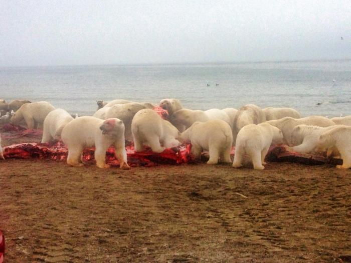 Când prostia şi inconştienţa îşi dau mâna. "Putea să fie moartă în 3 minute". Ce află în spatele acestei tinere 298149