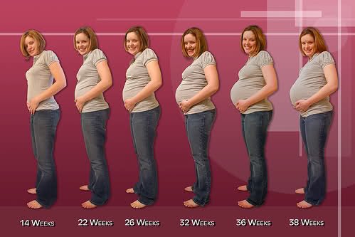 Ce transformări se produc în corpul tău în prima săptămână de sarcină