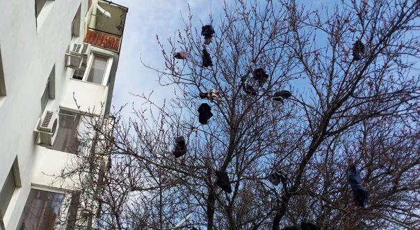 Cum a reacţionat această timişoreancă după ce şi-a prins iubitul cu AMANTA, la ei în pat. "Nu mai îndrăzneşte să calce prin CARTIER" 299517