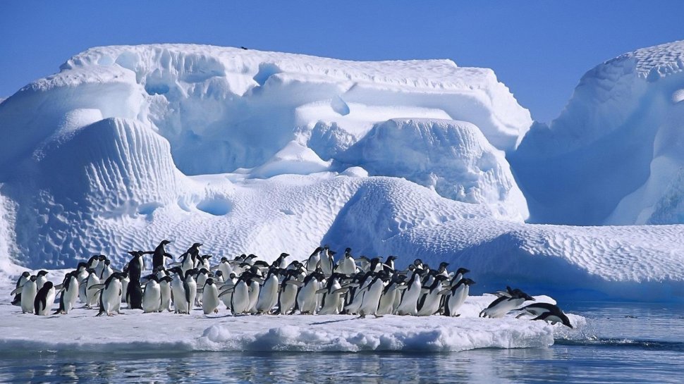 ALERTĂ în Antarctica. Cercetătorii anunţă topirea accelerată a unui gheţar: &quot;Fenomenul se întâmplă cu repeziciune&quot;