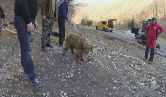 Imagini impresionante din Hunedoara. Un câine părăsit într-o galerie a unei mine a fost salvat 299733
