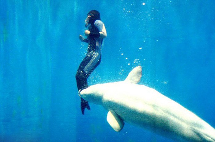 Imaginea uimitoare care arată legătura dintre om şi animal. Cum a fost salvată de la moarte această tânără de o balenă