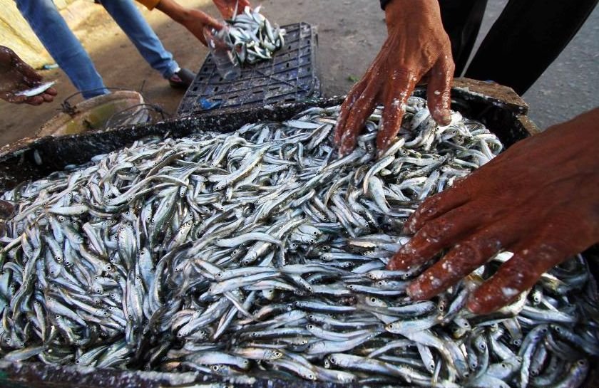 Aproximativ 4.000 de pescari, BLOCAŢI pe mai multe insule indoneziene