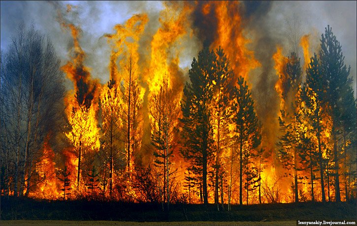 Cel puțin 15 morți în urma incendiilor de vegetație din sudul Siberiei 