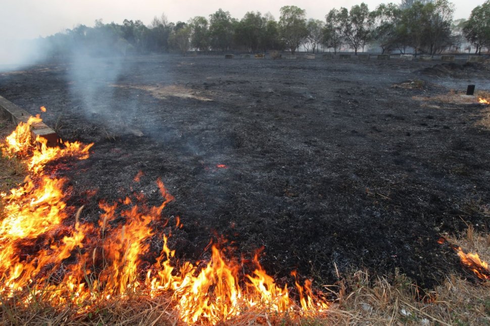 Rusia: Cel puțin 15 morți în urma incendiilor de vegetație din sudul Siberiei