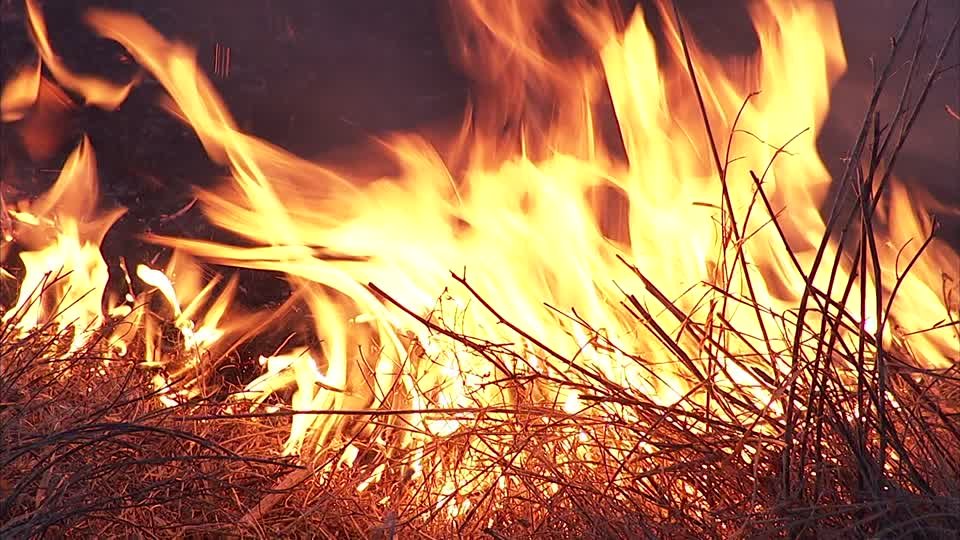 Aproximativ 120.000 de hectare de vegetaţie, devastate de incendiile care pârjolesc Siberia