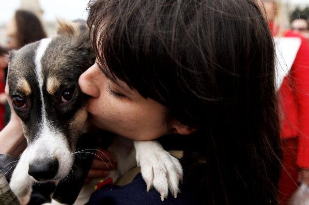 Cercetătorii au aflat cum a devenit câinele a devenit cel mai bun prieten al omului