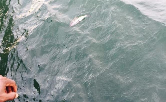 ALARMĂ în Costa Rica! Un vas plin cu substanţe toxice s-a scufundat aproape de ţărm