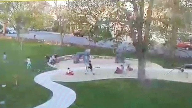VIDEO! Accident teribil! Doi copii au fost prinşi sub un copac IMENS 