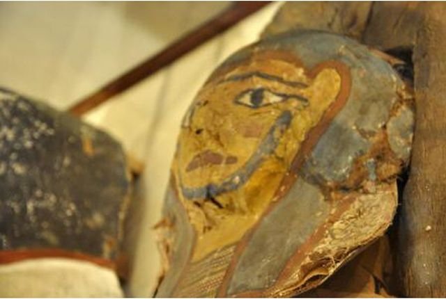 Escrocherie sau strategie de marketing? O treime dintre mumiile de animale din Egiptul Antic sunt falsuri 