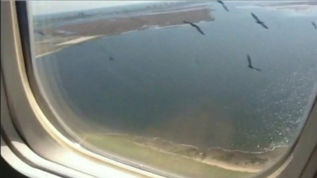 Un avion al American Airlines cu 127 de pasageri la bord a revenit la sol după ce a lovit o pasăre