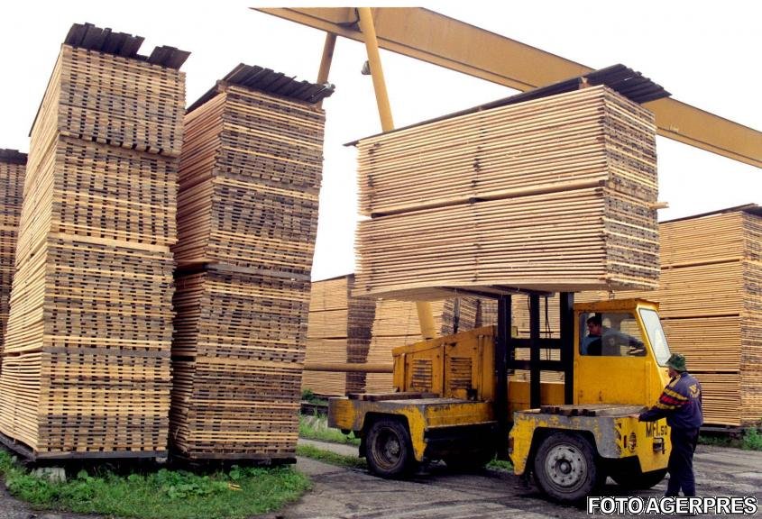 Exportul de buşteni, cherestea şi lemn de foc, suspendate până la 31 august 