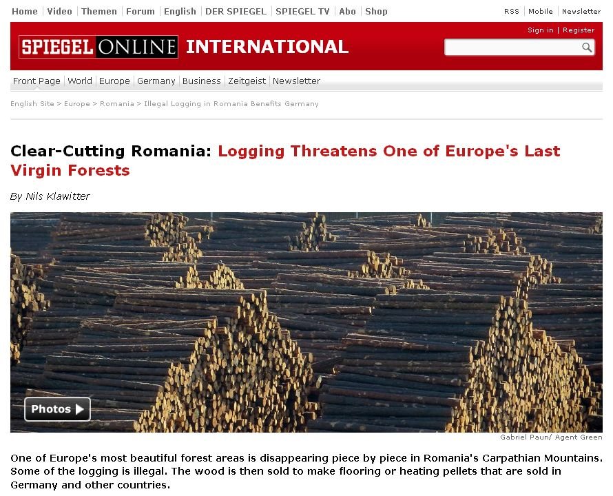 Punctul de Întâlnire: Jurnaliştii de la Der Spiegel deplâng &quot;sângerarea&quot; celor mai frumoase păduri din Europa