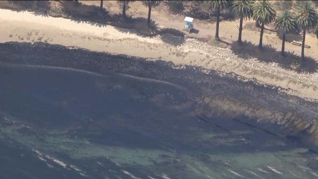 DEZASTRU ecologic. 21.000 de galoane de ţiţei s-au scurs pe plajele din Santa Barbara