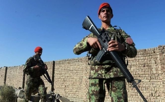 Talibanii au ucis nouă angajaţi ai unei organizaţii umanitare