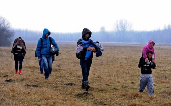 Guvernul ungar vrea să ridice un gard la graniţa cu Serbia pentru combaterea imigraţiei ilegale 