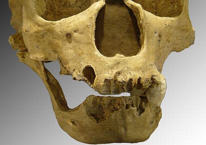 Un maxilar uman descoperit în România, la baza unui studiu important despre omul de Neanderthal