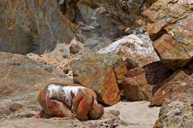 Iluzie optică FIERBINTE! Tu poţi găsi fotomodelele goale ascunse în imagini?  312798