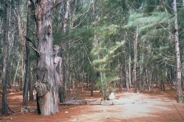 Iluzie optică FIERBINTE! Tu poţi găsi fotomodelele goale ascunse în imagini?  312799